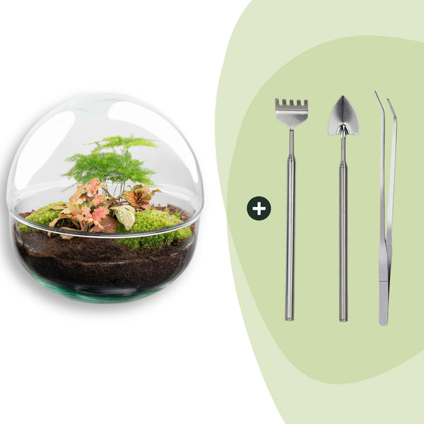 Flaschengarten-Set „Dome" – DIY-Terrarium im Kugelglas