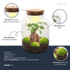 Flaschengarten-Set „Milky" – DIY-Terrarium mit Bonsai und Beleuchtung – Ansicht 3