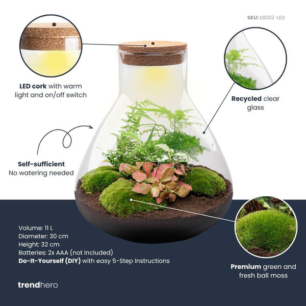 Flaschengarten-Set „Sam XL" – Pflanzen im Glas mit Licht – Ansicht 4