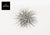 Tillandsie ‚Super Silver' – Tillandsia