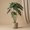 Kunstpflanze Alocasia – Ansicht 7