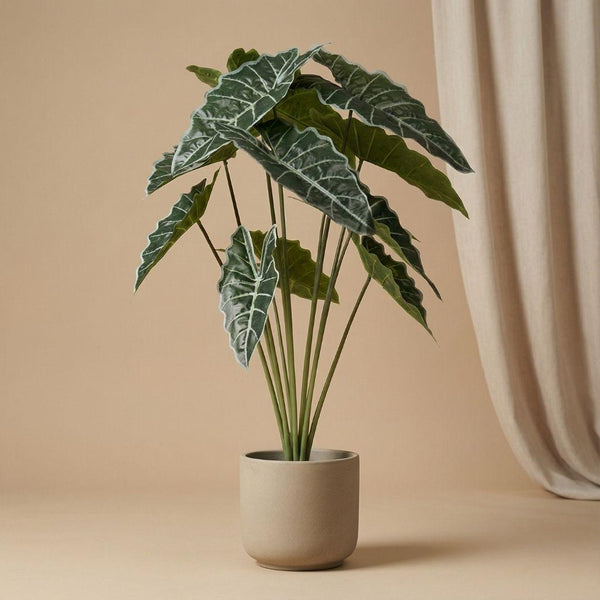 Kunstpflanze Alocasia – Ansicht 7