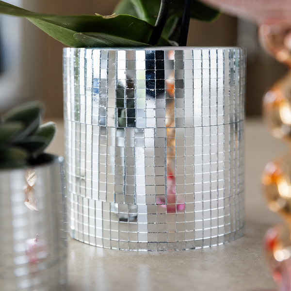 Orchidee ‚Vienna' – Phalaenopsis – Ansicht 6