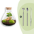 Flaschengarten-Set „Sammie Coffea“ – DIY-Terrarium mit Kaffeepflanze