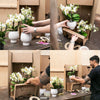 Orchideen-Set „Mono Bouquet“ – 3 weiße Phalaenopsis ‚Gent' – Ansicht 7