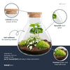 Flaschengarten-Set „Sammie" – DIY-Terrarium mit Kaffeepflanze
