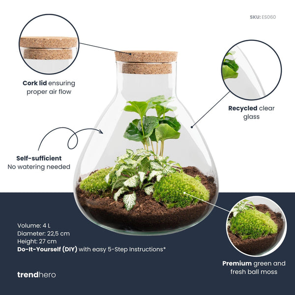 Flaschengarten-Set „Sammie" – DIY-Terrarium mit Kaffeepflanze