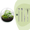 Flaschengarten-Set „Dome XL" – DIY-Terrarium im Kugelglas