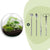 Flaschengarten-Set „Dome XL" – DIY-Terrarium im Kugelglas