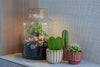 Flaschengarten-Set „Love Mom Little Milky“ – DIY-Terrarium mit graviertem Korken und Licht – Ansicht 3