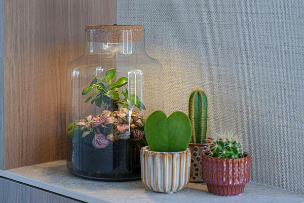 Flaschengarten-Set „Love Mom Little Milky“ – DIY-Terrarium mit graviertem Korken und Licht – Ansicht 3