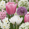 Blumenzwiebel-Set „Bulb Garden Pink" – rosa Blumenzwiebeln