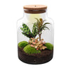 Flaschengarten-Set „Milky" – DIY-Terrarium mit Licht – Ansicht 2
