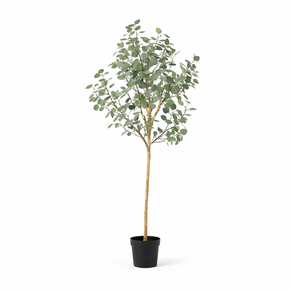 Kunstpflanze Eukalyptus (Eucalyptus)