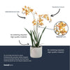 Kunstpflanze Renanthera-Orchidee im Topf – Ansicht 4