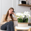Pflanzen-Set „Dschungelstrauß" – drei Phalaenopsis ‚Amabilis' und drei Grünpflanzen – Ansicht 4