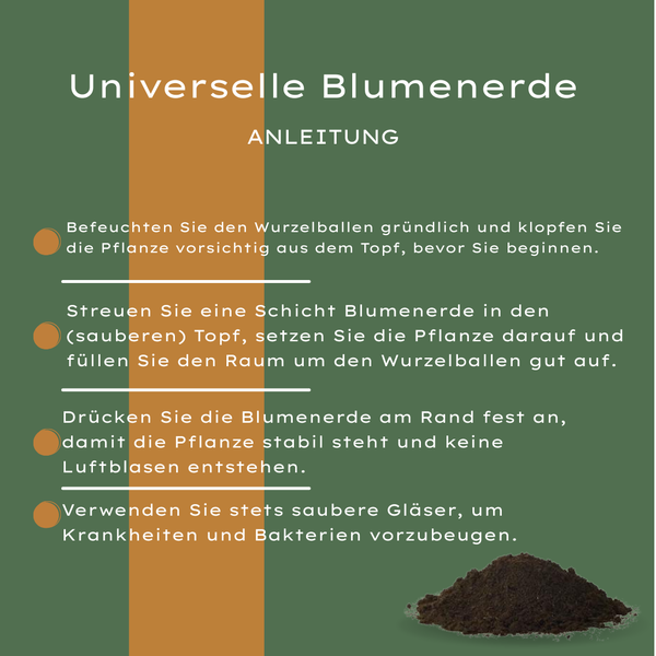 Universal-Blumenerde für Zimmer- und Gartenpflanzen – Ansicht 4