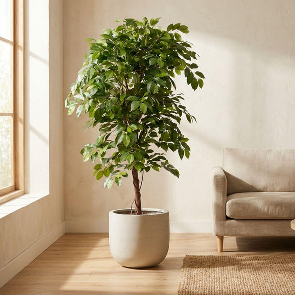 Kunstpflanze Ficus Deluxe Vine – Ansicht 3