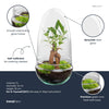 Flaschengarten-Set „Egg" – Bonsai im Glas – Ansicht 2