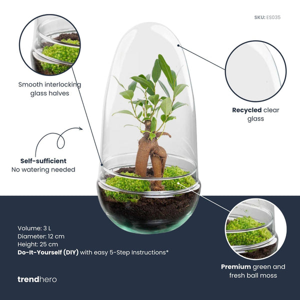 Flaschengarten-Set „Egg" – Bonsai im Glas – Ansicht 2