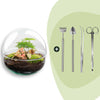 Flaschengarten-Set „Dome" – DIY-Terrarium im Kugelglas