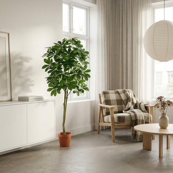 Kunstpflanze Glückskastanie (Pachira aquatica) – Ansicht 3
