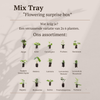 Überraschungs-Set „Mix Tray – Ansicht 5