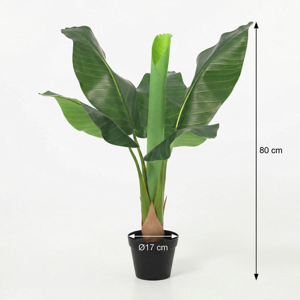 Kunstpflanze Bananenpflanze (Musa) – Ansicht 5