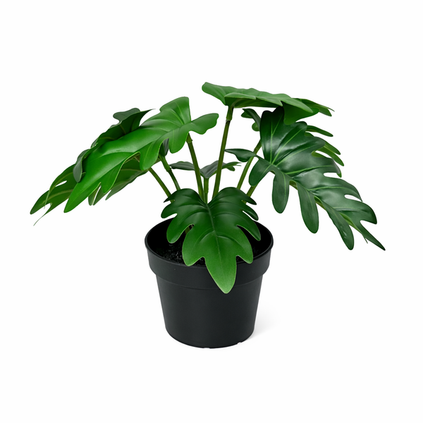 Kunstpflanzen-Set „Mini-Quartett“ – 4 kleine Kunstpflanzen für Regal & Schreibtisch – im Set enthalten: Kunstpflanze Philodendron ‚Xanadu'