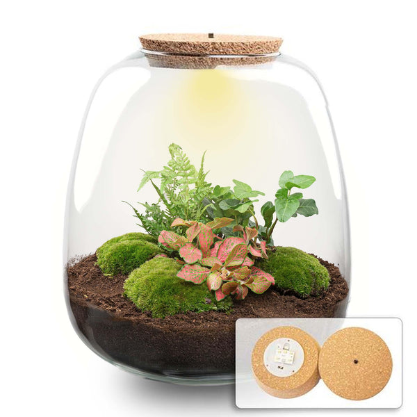 Flaschengarten-Set „Emma" – DIY-Kit mit Efeu