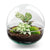 Flaschengarten-Set „Dome" – DIY-Terrarium im Kugelglas