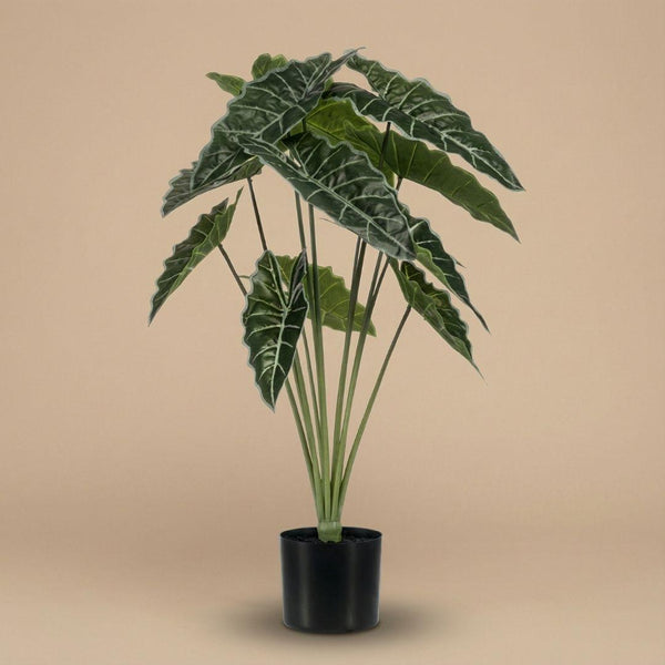 Kunstpflanze Alocasia – Ansicht 4