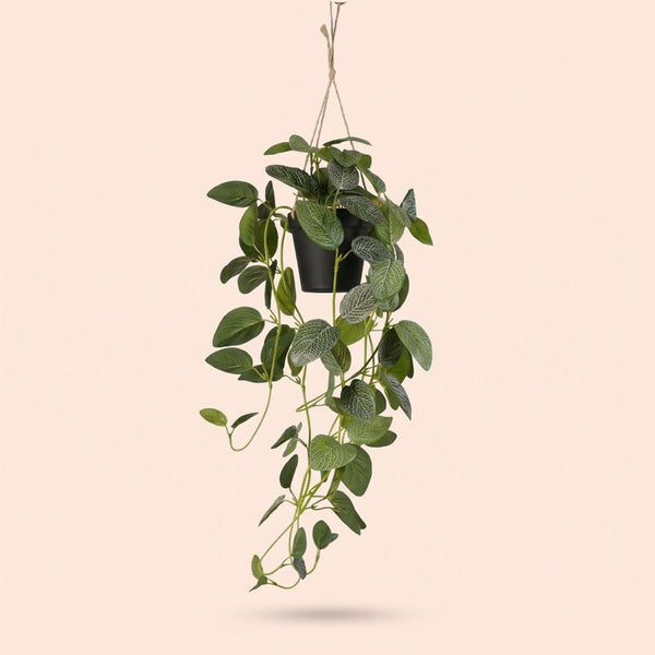 Kunstpflanze Fittonia hängend im Topf – Ansicht 5