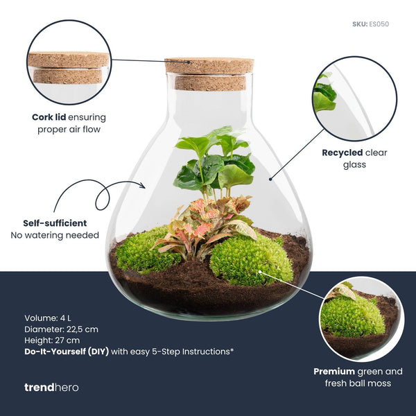 Flaschengarten-Set „Sammie Coffea“ – DIY-Terrarium mit Kaffeepflanze – Ansicht 2