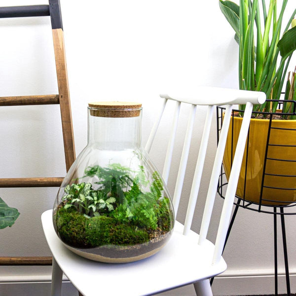 Flaschengarten-Set „Sam XL" – DIY-Terrarium mit Licht – Ansicht 5