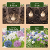 Zierlauch ‚Buzzing Beauties' – Allium – Ansicht 4