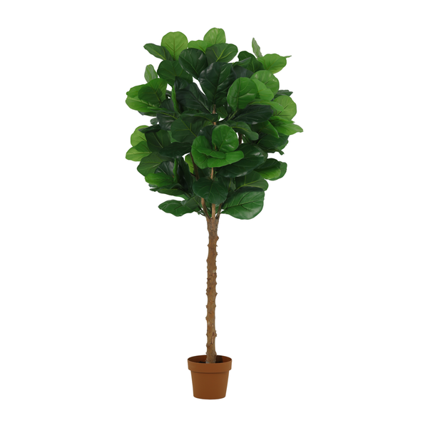 Kunstpflanzen-Duo „Wohnzimmer XL“ – Geigenfeige & Baumstrelitzie – im Set enthalten: Kunstpflanze Geigenfeige (Ficus lyrata)
