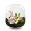 Oster-Set „Emma Mini“ – offenes Terrarium DIY-Kit