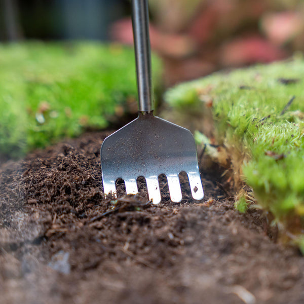 Terrarium-Harke teleskopierbar aus Edelstahl – Ansicht 2