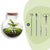 Flaschengarten-Set „Teddy" – DIY-Terrarium mit Licht