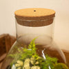 LED-Korken mit Beleuchtung für Terrarium