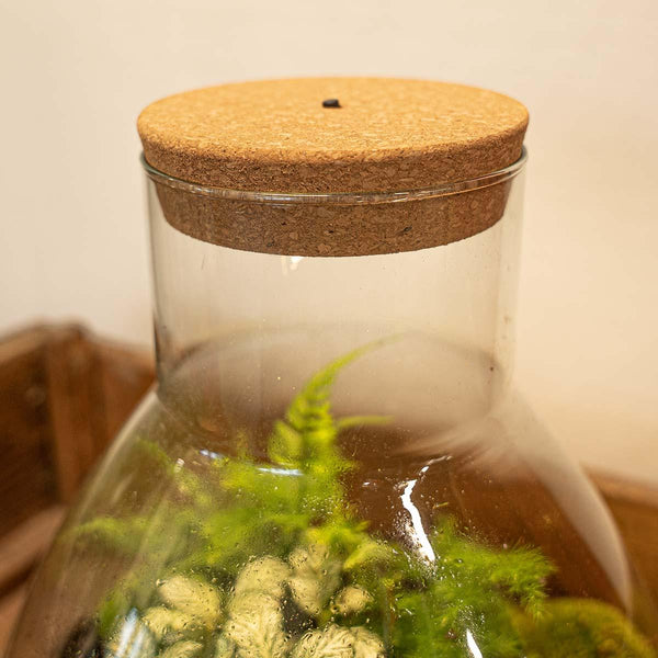 LED-Korken mit Beleuchtung für Terrarium