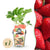 Erdbeere ‚Elsanta' – Fragaria × ananassa – Ø 9 cm