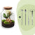Flaschengarten-Set „Milky" – DIY-Terrarium mit Licht