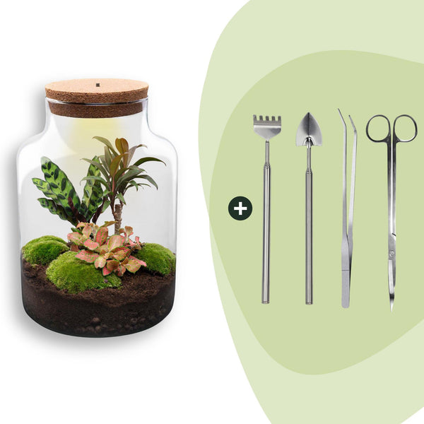 Flaschengarten-Set „Milky" – DIY-Terrarium mit Licht