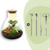 Flaschengarten-Set „Sam Calathea" – DIY-Terrarium mit Lampe und Calathea