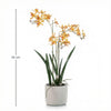 Kunstpflanze Renanthera-Orchidee im Topf – Ansicht 3