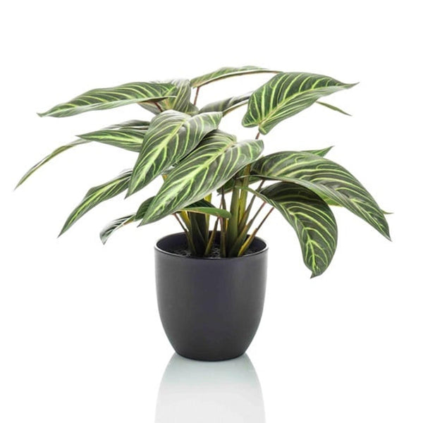 Kunstpflanze Calathea Zebrina im schwarzen Topf