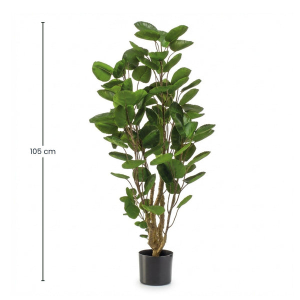 Kunstpflanze Polysciasbaum – Ansicht 2