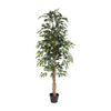 Kunstpflanze Birkenfeige (Ficus benjamina)